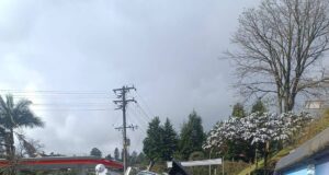 Alcaldía de Guarne y Empresa de Servicios Públicos de Guarne atienden incidente en vía intervenida.