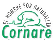 Por seguridad de la comunidad, se recomienda el retiro de árbol emblemático del parque principal de Cocorná.