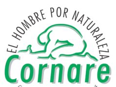Por seguridad de la comunidad, se recomienda el retiro de árbol emblemático del parque principal de Cocorná.
