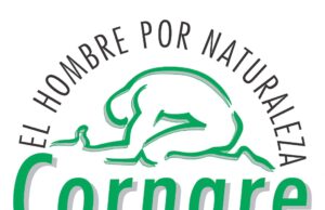 Por seguridad de la comunidad, se recomienda el retiro de árbol emblemático del parque principal de Cocorná.