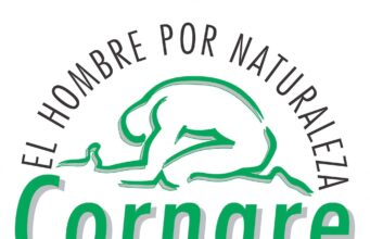 Por seguridad de la comunidad, se recomienda el retiro de árbol emblemático del parque principal de Cocorná.