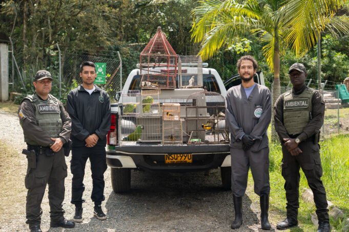 Ocho aves silvestres fueron incautadas por la Policía Ambiental en una vivienda en zona rural de Guarne.