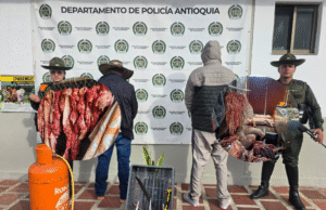 Policía Nacional en Antioquia capturó a dos personas e incautó más de 1.800 kilos de carne en zona rural de Donmatías.