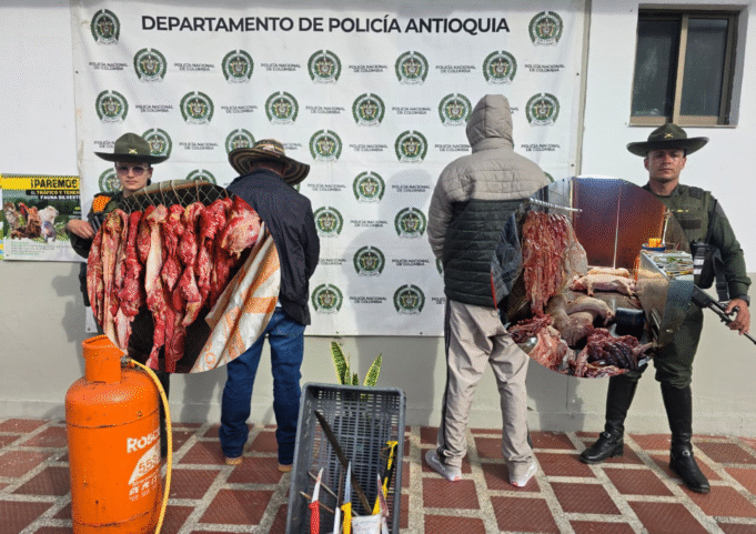 Policía Nacional en Antioquia capturó a dos personas e incautó más de 1.800 kilos de carne en zona rural de Donmatías.