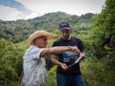 Con una red de cerca de 80 cámaras trampa, Cornare fortalece el monitoreo de fauna silvestre en la región.