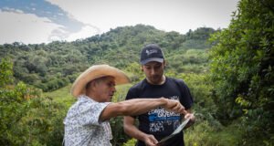 Con una red de cerca de 80 cámaras trampa, Cornare fortalece el monitoreo de fauna silvestre en la región.