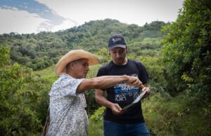 Con una red de cerca de 80 cámaras trampa, Cornare fortalece el monitoreo de fauna silvestre en la región.