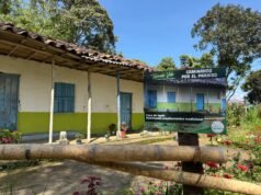 Abierta la quinta convocatoria “Tejiendo Vida” para desarrollar proyectos sostenibles en Áreas Protegidas de la región Cornare.